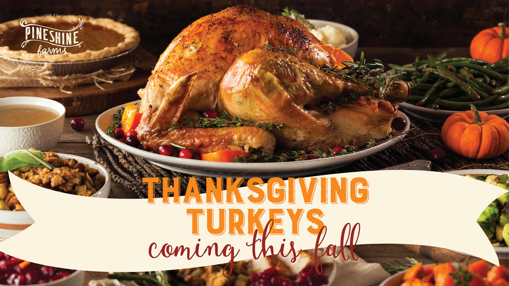 Pineshine Farms Thanksgiving Turkeys